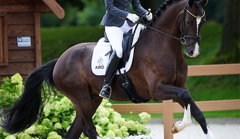 Lea-Elisabeth Pointinger and Eyecatcher W in the 4-YO Challenge at the 2023 World Young Horse Championships :: Photo © Astrid Appels
