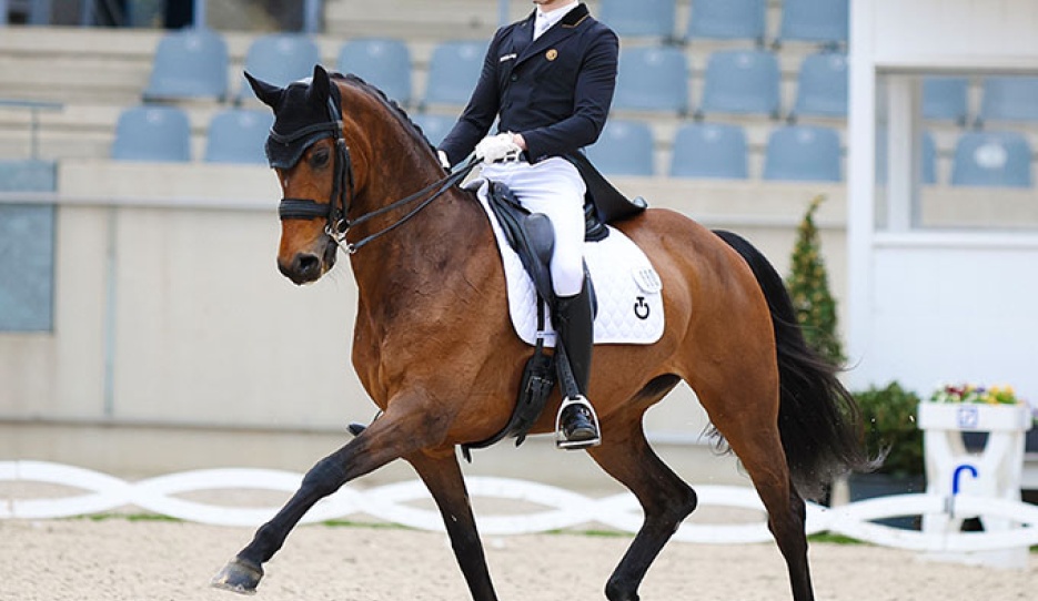 Nico Nyssen and Geneva at the 2024 CDI Aachen Festival 4 Dressage :: Photo © Astrid Appels
