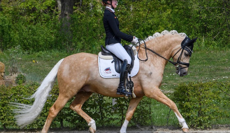 Sophie Duen and Dream Date in 2022 :: Photo © private