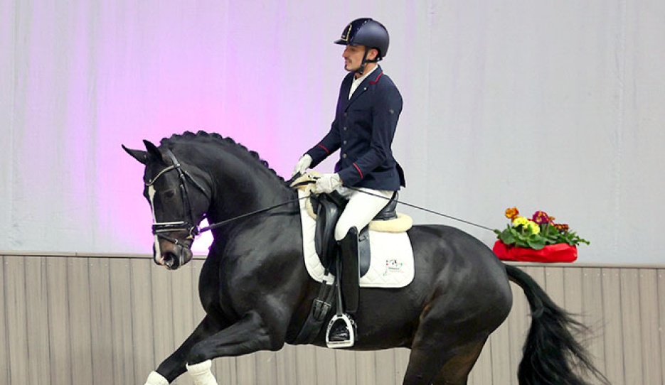 Manuel Springhetti on Diamantenglanz in March 2023 :: Photo © Thoms Lehmann