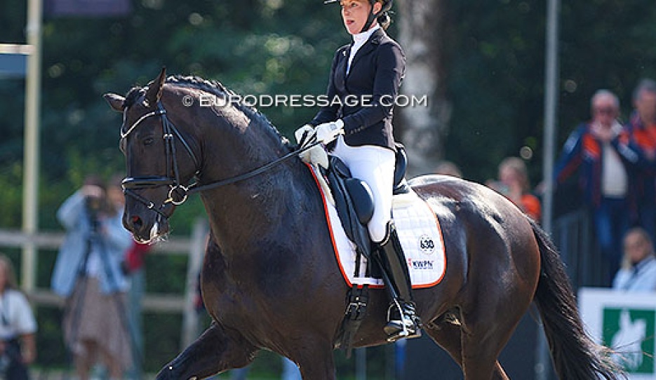Nashville SW at the 2024 World Young Horse Championships :: Photo © Astrid Apels