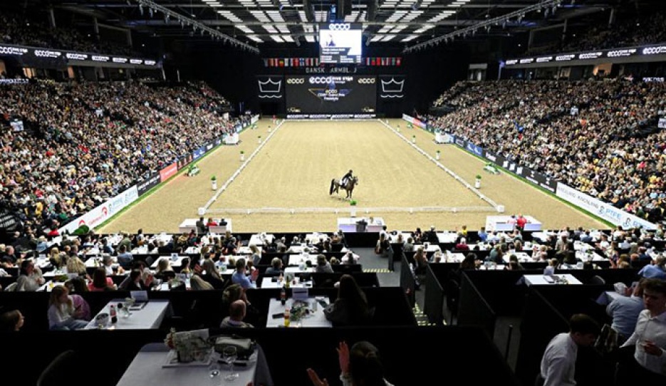 Full house at the 2025 Danish Warmblood Stallion Licensing and CSI/CDI Herning :: Photo © Ridehesten