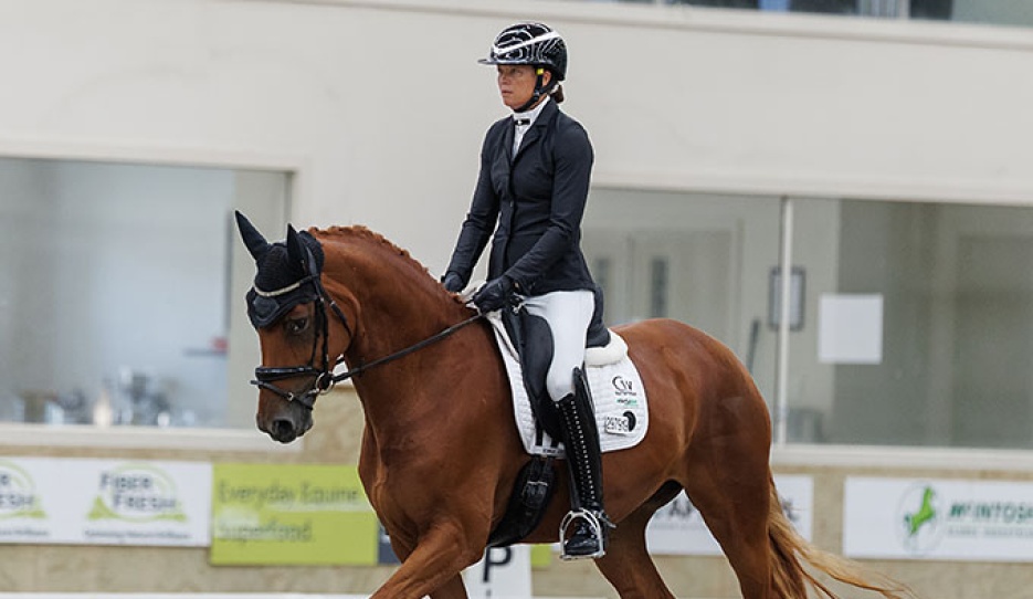 Zoie Gray on SWE Furstin Light at the 2025 New Zealand Young Horse Championships :: Photo © Libby Law