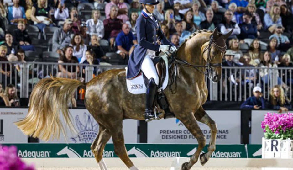 Adrienne Lyle and Helix at the 2025 CDI Wellington :: Photos © Sue Stickle