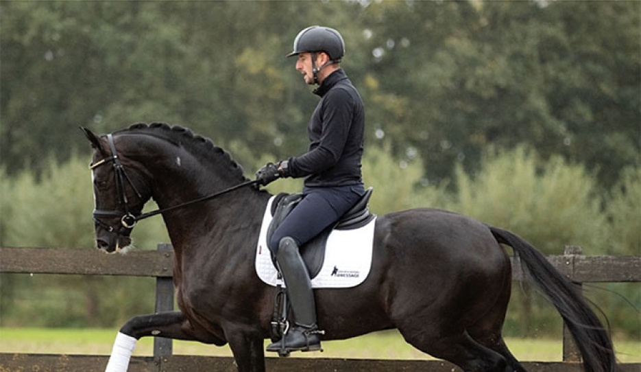 Van Den Heuvel Dressage