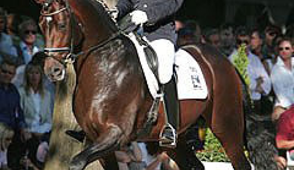Oliver Oelrich and Laudabilis at the 2005 Bundeschampionate :: Photos © Astrid Appels