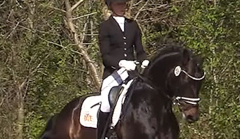 Greta Heemsoth and Endorphin at the 2025 CDN Elmlohe 