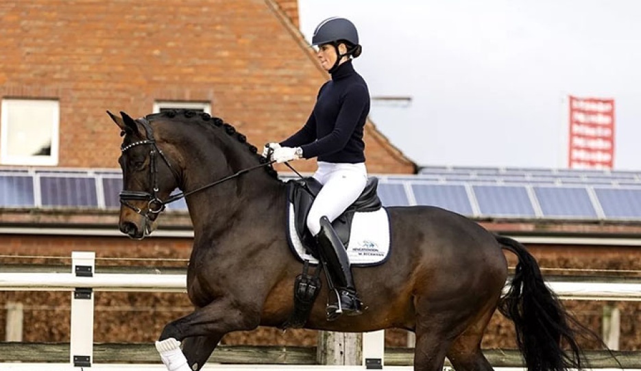 Friederike Kampmeyer and Taurus in 2022 :: Photo © Equigeniek