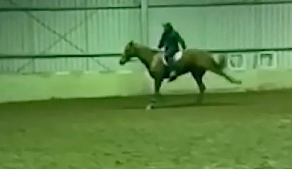Screen capture from Heath Ryan's alleged animal abuse video