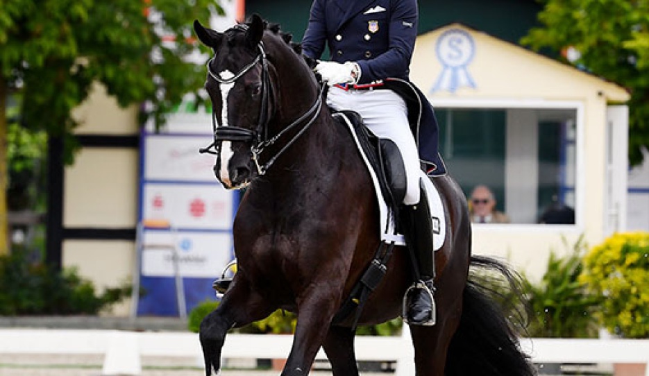 Kevin Kohmann (USA) and Dünensee win the opening class at Hof Kasselmann :: Photo © Dirk Rüchel