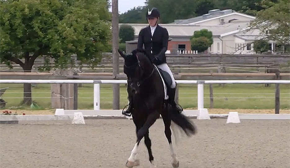 Belgian Olympian Flore de Winne on the Westfalian stallion Eleven at the first German WCYH selection trial in Warendorf