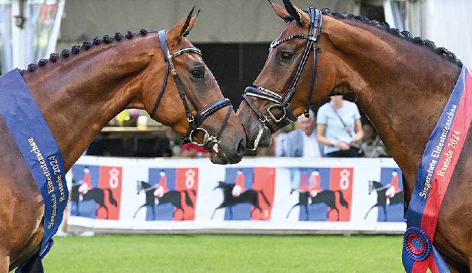 The 2024 Oldenburg elite mare champions in show jumping and dressage (First Vaiana) :: Photo © OLD ART