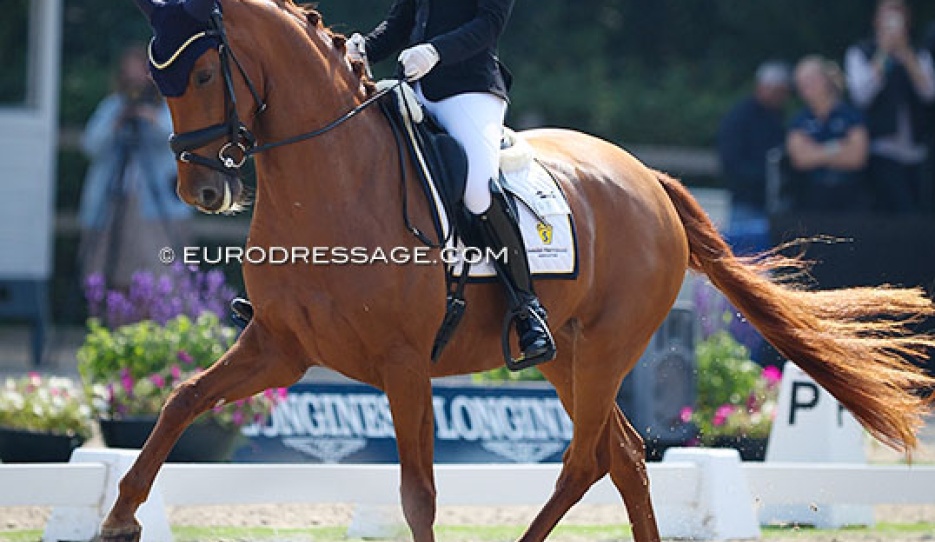 Lovisa Wessbladk on Simmebros De Luze at the 2024 World Young Horse Championships :: Photo © Astrid Appels