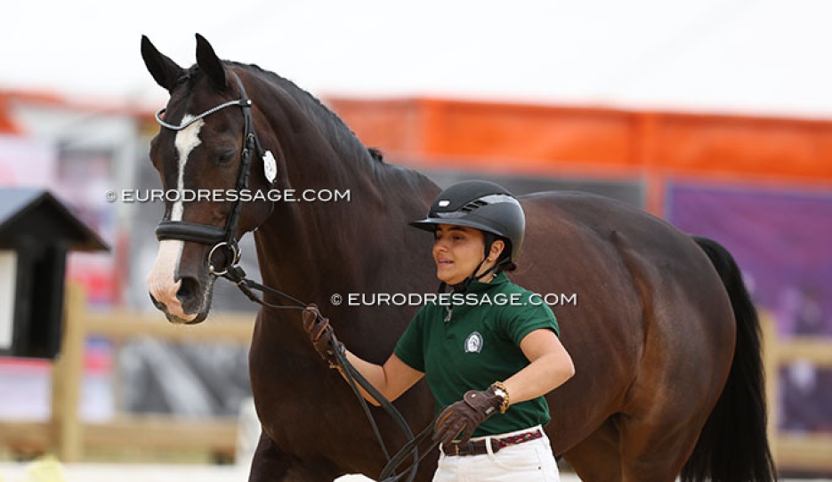 Portugal's Maria Da Graça Abecasis trotting up Delgado at the 2025 European Young Riders / Under 25 Championships :: Photos © Astrid Appels