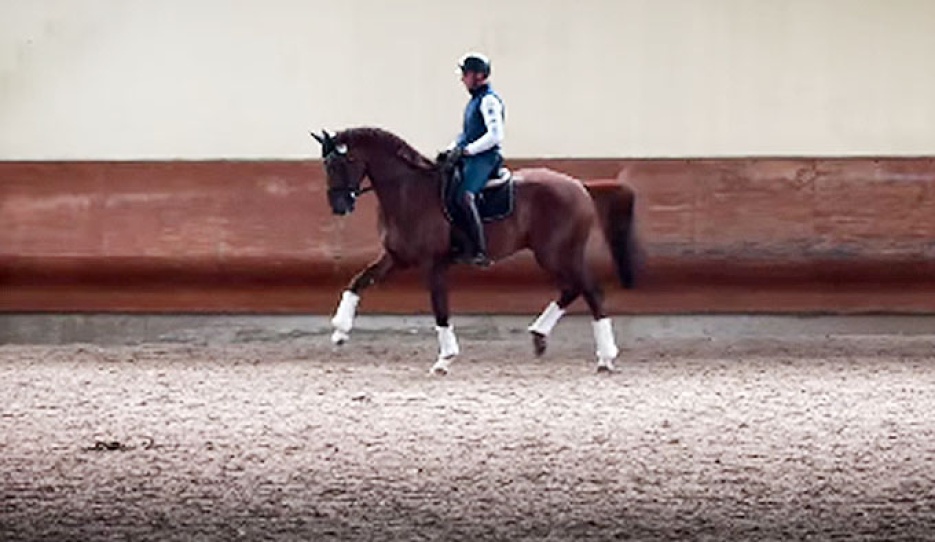Antonio Sala on Prince Vince WM 