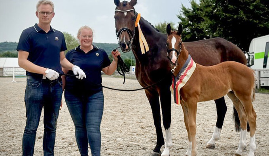 Filly champion Ewald's Elfe (OLD by Ibiza x De Niro) - Owner: ZG Klumpe, Hermann  - Breeder: Grotelüschen, Ewald