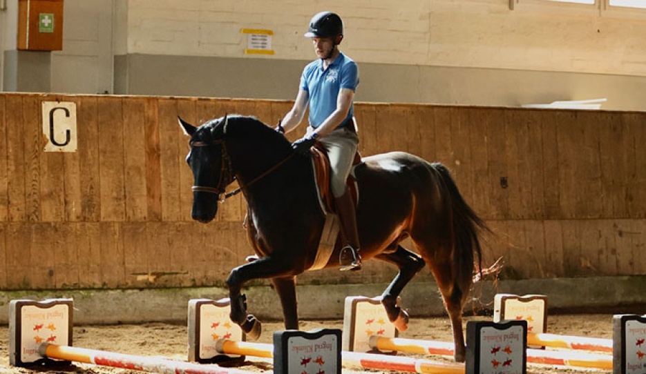 Fanti active and in a soft contact over the cavaletti :: Photo © Silke Rottermann