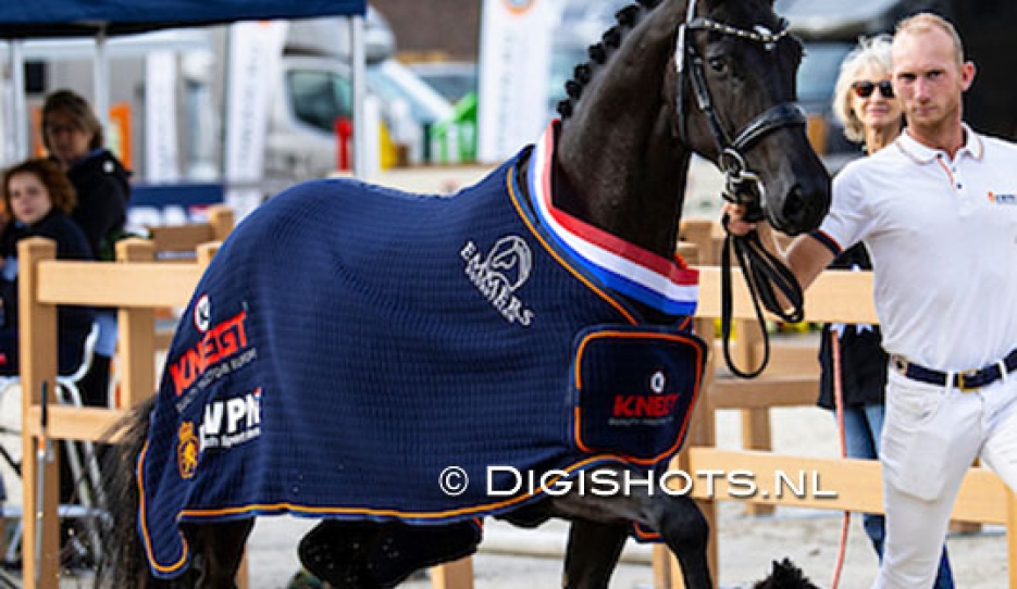 Sophie Anne Marie (by For Romance x Vitalis) :: Photo © Digishots