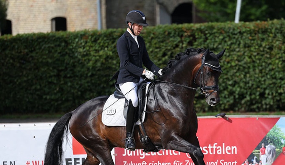 Belgian Dries van Dijck on the 4-year old stallion Du Weißt Schon Wer :: Photo © LL-foto