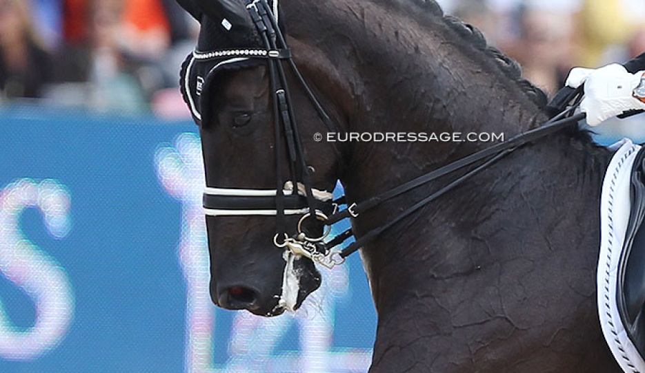 A head/neck position at the 2013 European Dressage Championships :: Photo © Astrid Appels