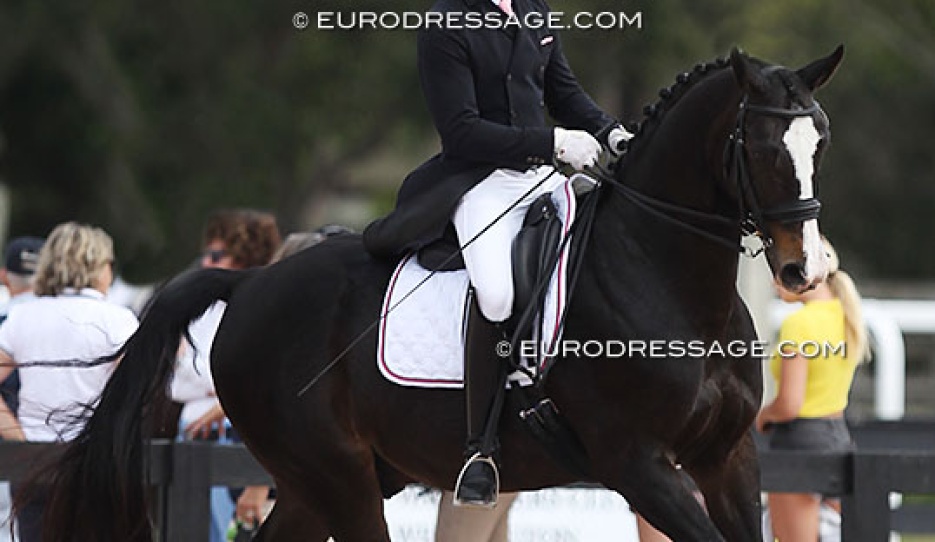 Ben Winger and QC Roberto Cavalli (by Rotspon x Metternich) at the 2019 CDN Wellington :: Photo © Astrid Appels