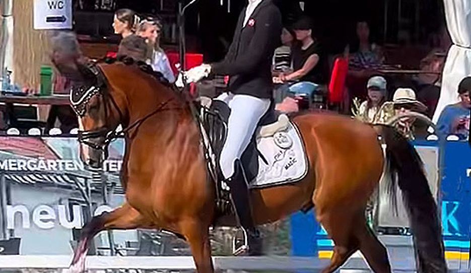 Filippa Jaeger Jensen and Darboven K at the 2025 Bundeschampionate