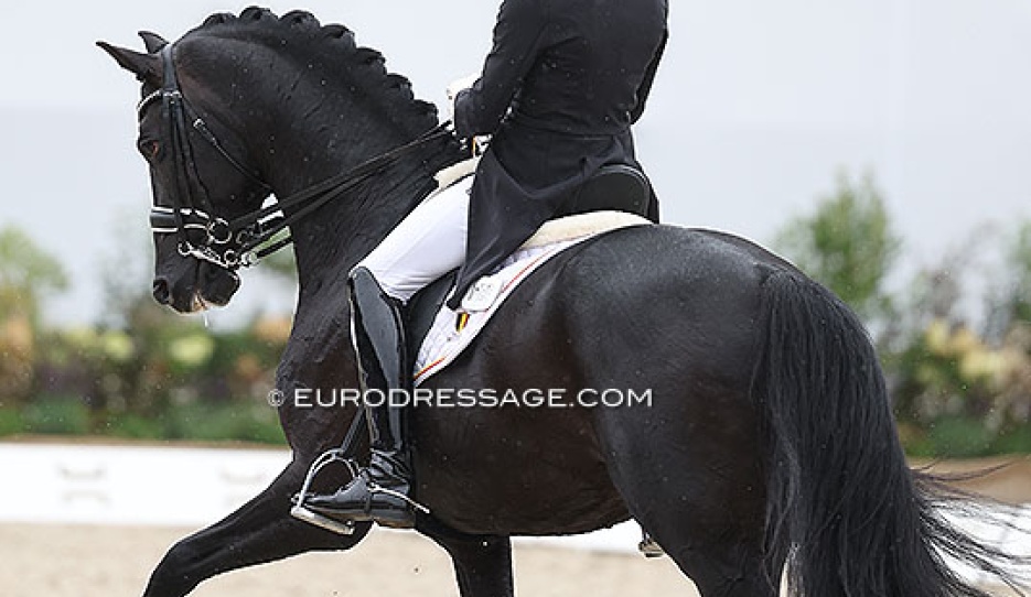 Justin Verboomen and Zonik Plus at the 2025 European Dressage Championships :: Photo © Astrid Appels