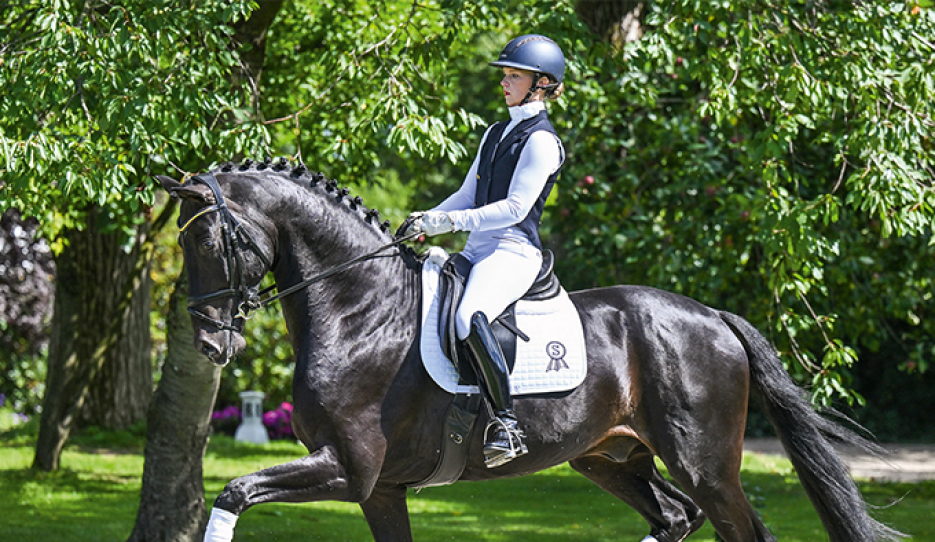 Jongleur (by Jameson x Samba Hit x Donnerhall)