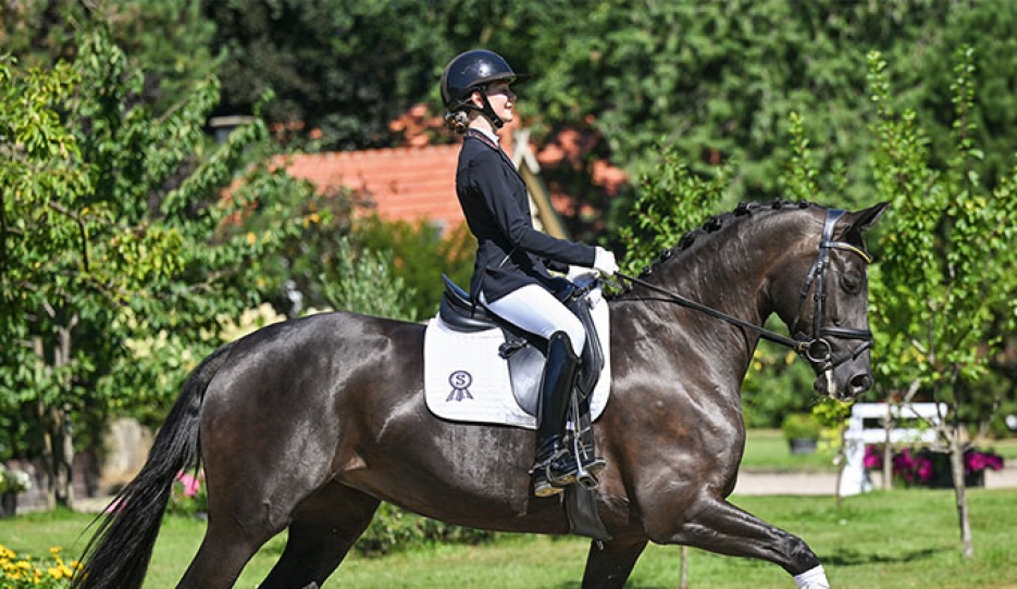 She Is Mine (by San Amour x Totilas)