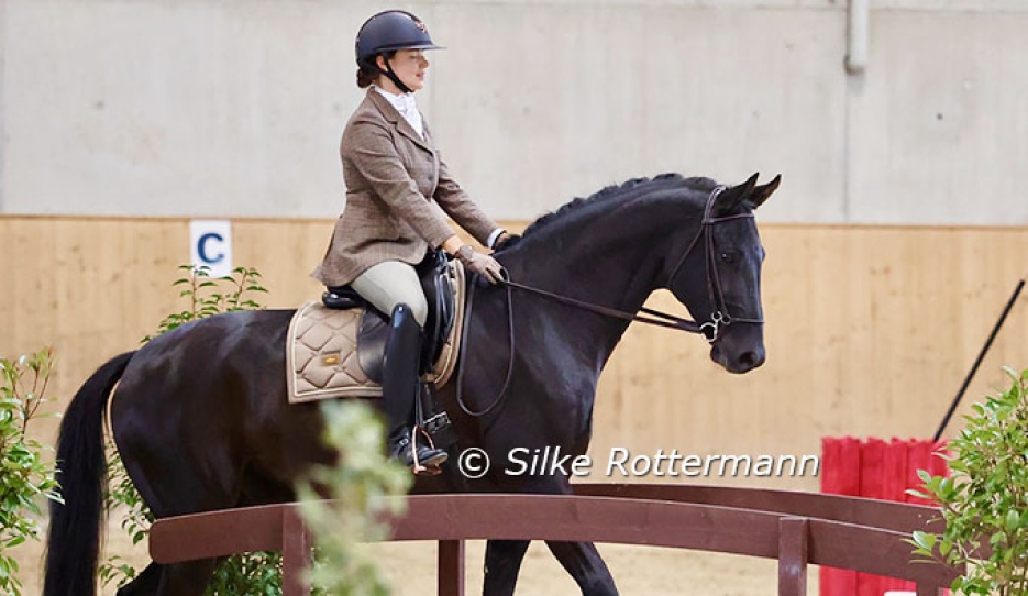 Fantastico branching out to Working Equitation, competing in the at the trail parcours at the Swiss Championships :: Photo © Silke Rottermann