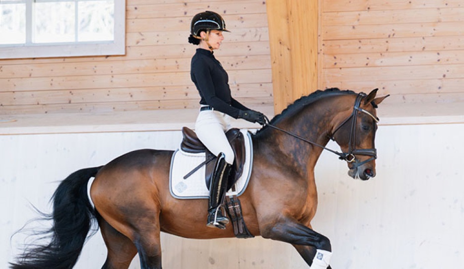 Caroline Darcourt on Devin Franco GJ :: Photo © Lovsta Stuteri