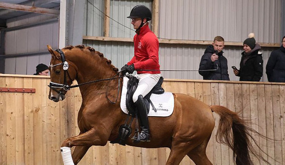 Test rider Allan Skov on Daan G at the 2025 DWB Stallion performance test :: Photo © Ridehesten