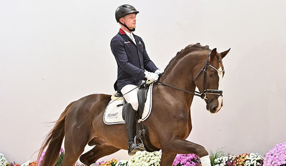 Catalog Nr. 5 Schufro de Iniesta (by Sezuan's Donnerhall x Don Gregory x Castro) :: Photo © OLD Art