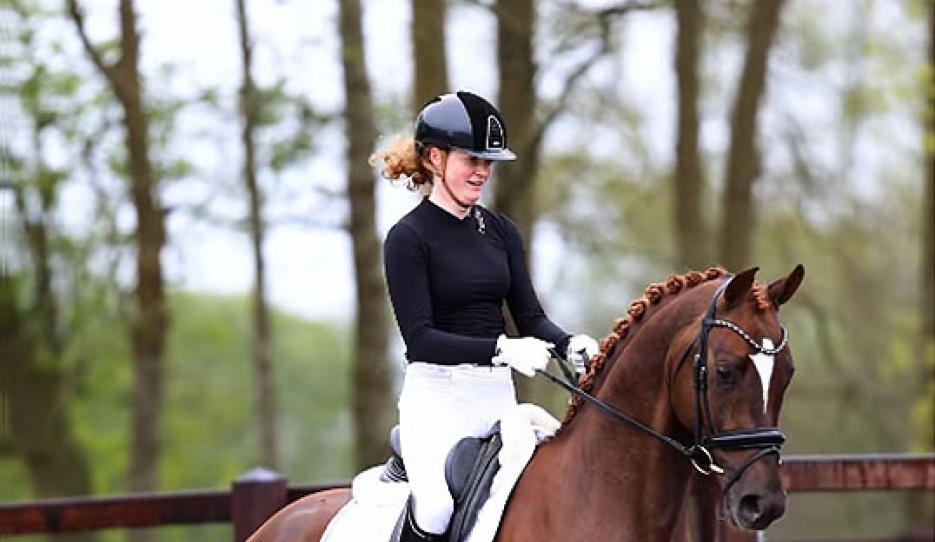 So Unique STH (by Vivino x Boston STH) at his home yard Stouwehof in The Netherlands 