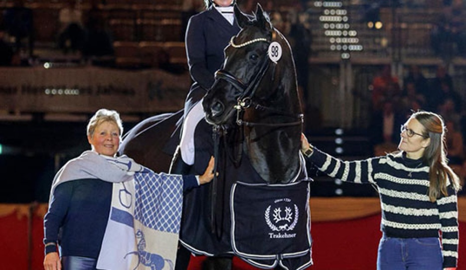 Herakles was named Trakehner Stallion of the Year 2025 in Neumunster :: Photo © Stefan Lafrentz