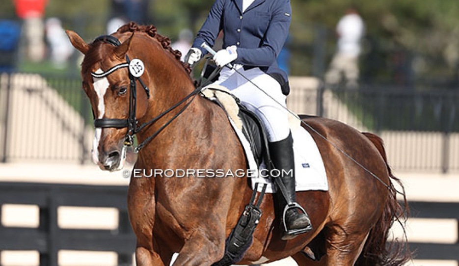 McKenzie Dicks on Hope Cooper's Flynn PCH at the 2025 CDN Wellington :: Photo © Astrid Appels