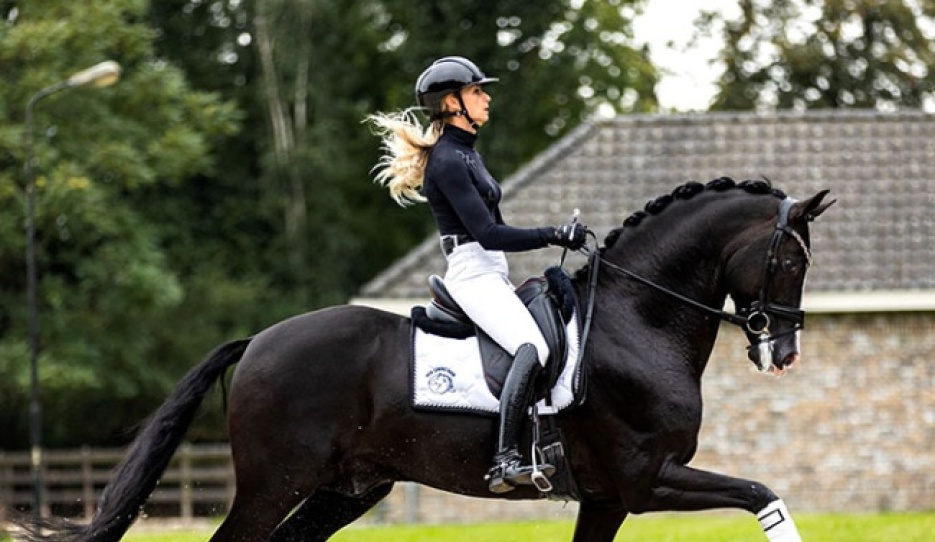 Kaiman under Dinja van Liere :: Photo © Equigeniek