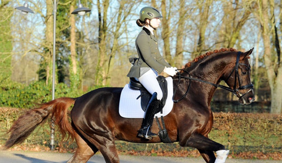 Svea Gross and Go For Romance PS in 2023 :: Photo © Annett Strohbehn