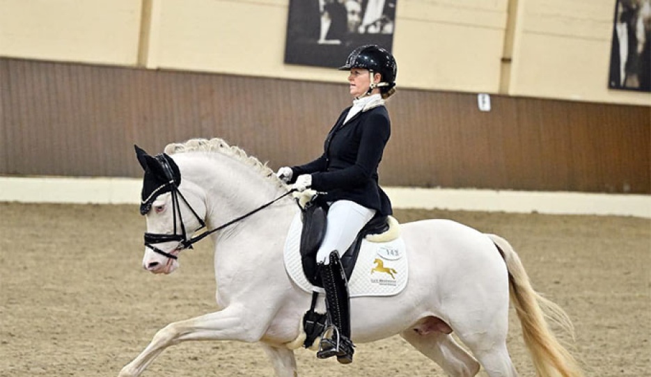 Adult Danica Duen on the Westfalian stallion Gold Garant at the 2024 CDN Ankum :: Photo © Mhisen