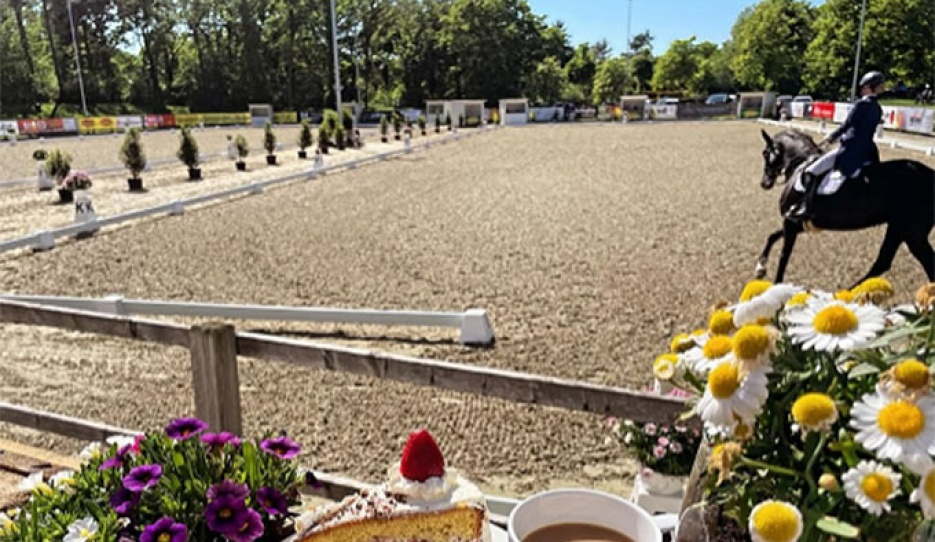 The dressage arena at the Hoeven riding club where the 2026 Oldenburg young horse championships will take place