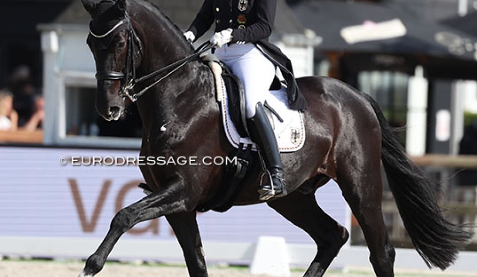 Isabell Werth and Special Blend at the 2025 CDIO Lier :: Photo © Astrid Appels