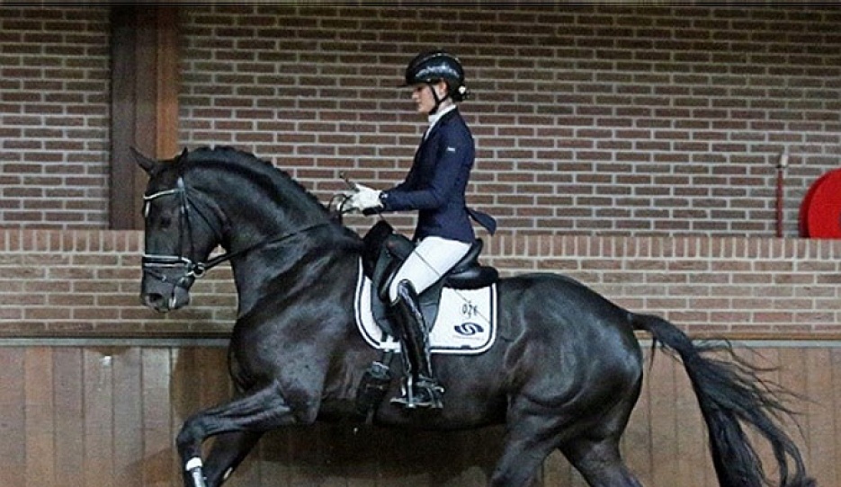 Lina Uzunhasan on Magic McKee L :: Photo © Sandra Nieuwendijk