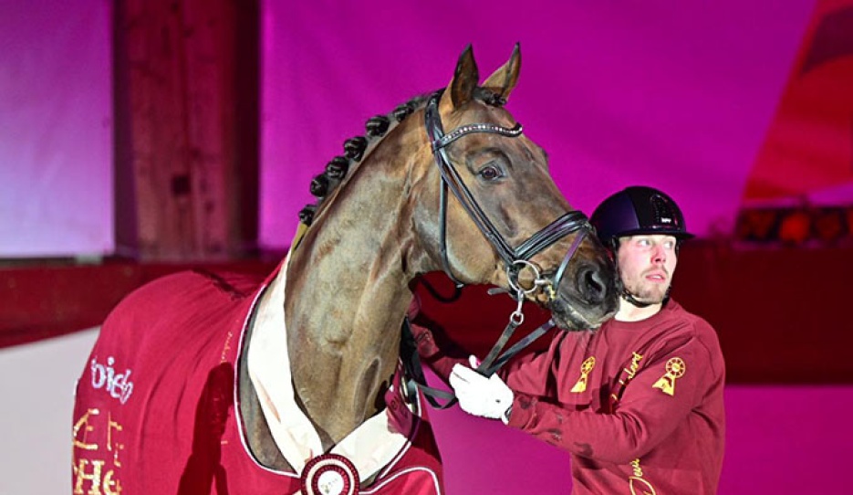 Floricello proclaimed elite sire at the 2026 DSP Stallion Licensing in Munich :: Photo © Björn Schroeder.