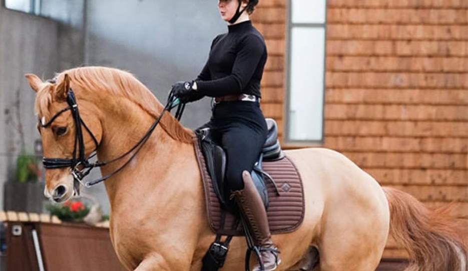 Lea Torabi on Jivago de Massa (by Don Juan de Hus x Moscatel) :: Photo © Matilde