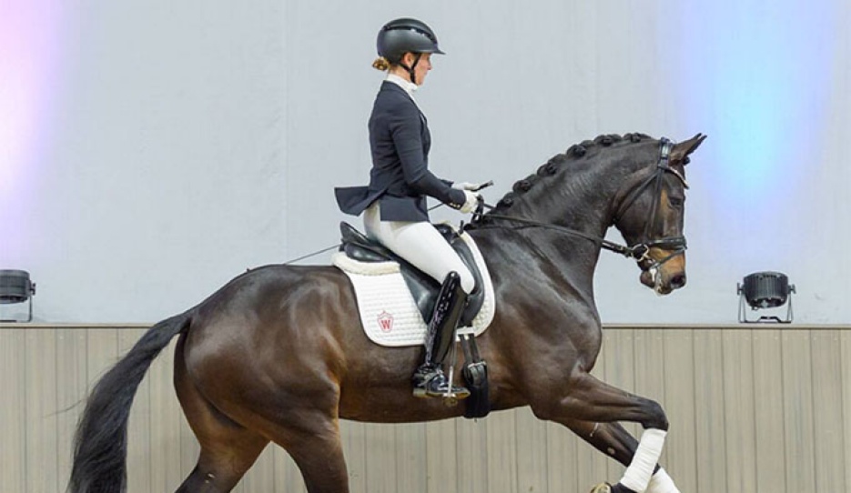 Dixieland Delight (by Dynamic Dream x Sandro Hit) :: Photo © Recki Media