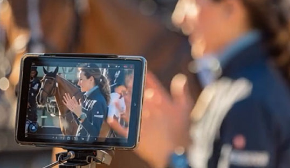 Build Your Own Training Program on the Show Chic Training Platform