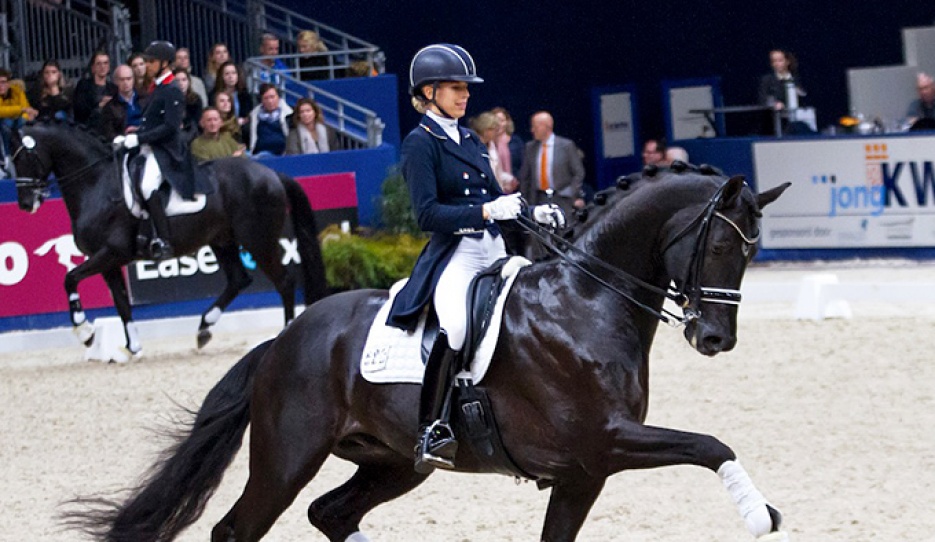 Cum Laude (by Apache x Weltmeyer)