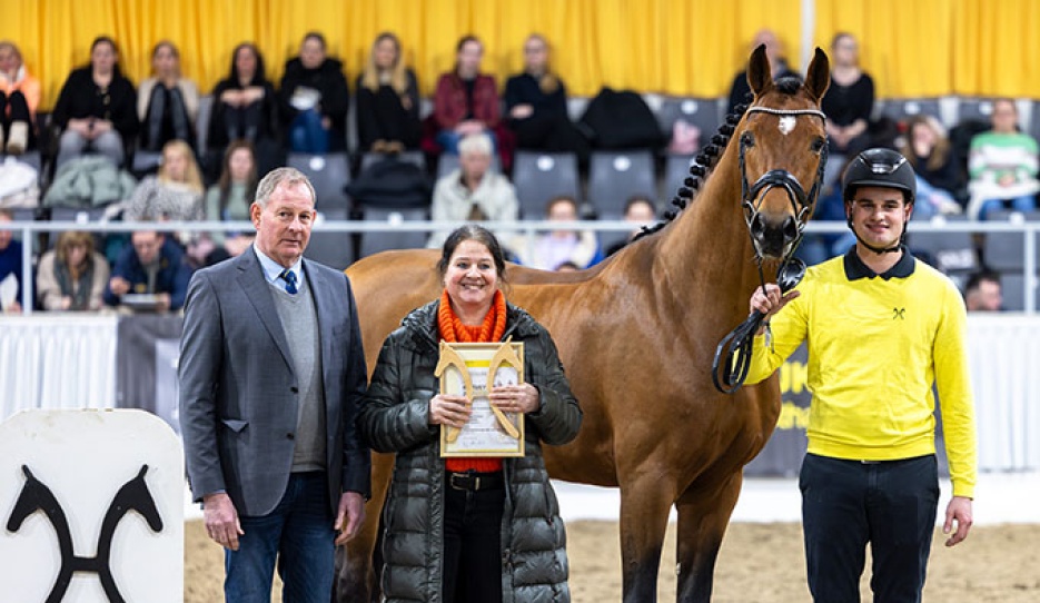 DC-10 at the 2026 Hanoverian Show for Privately Owned Stallions