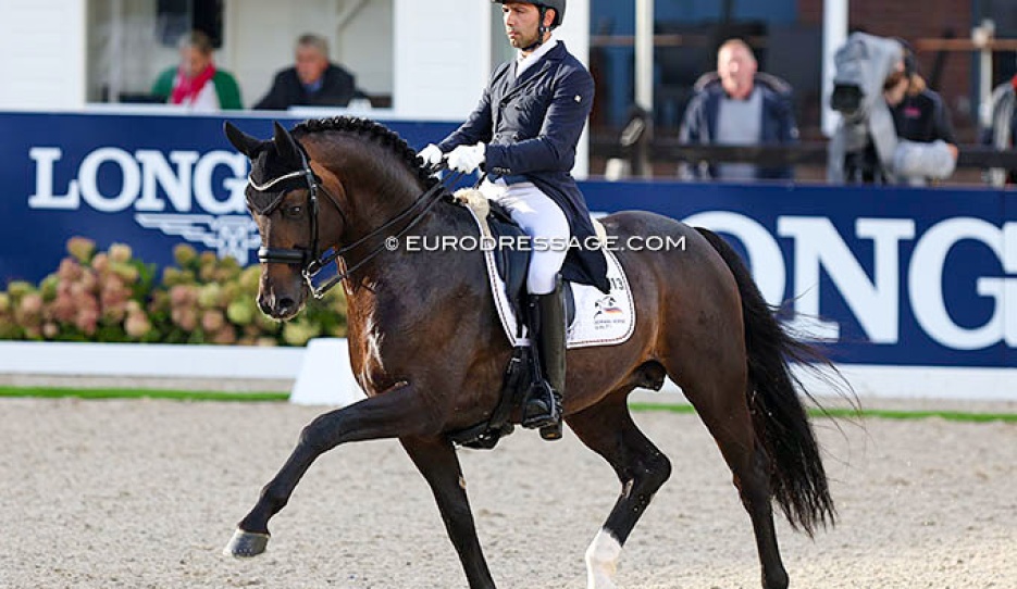 Escamillo at the 2022 World Young Horse Championships in Ermelo :: Photo © Astrid Appels