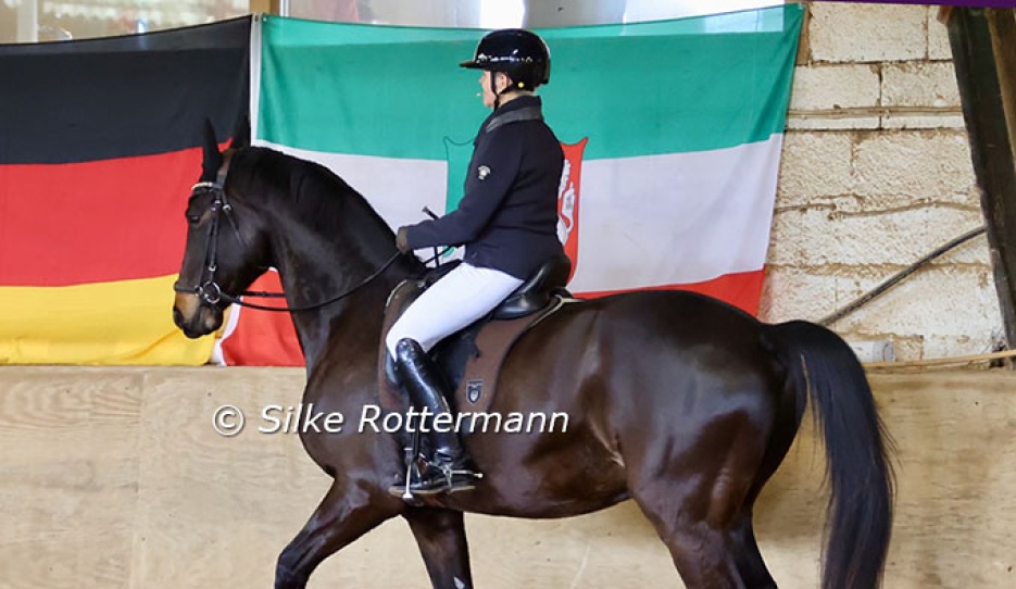 Uta Gräf on Herzenswunsch, who shows obvious talent for the piaffe which will become even better once he gets stronger :: Photos © Silke Rottermann
